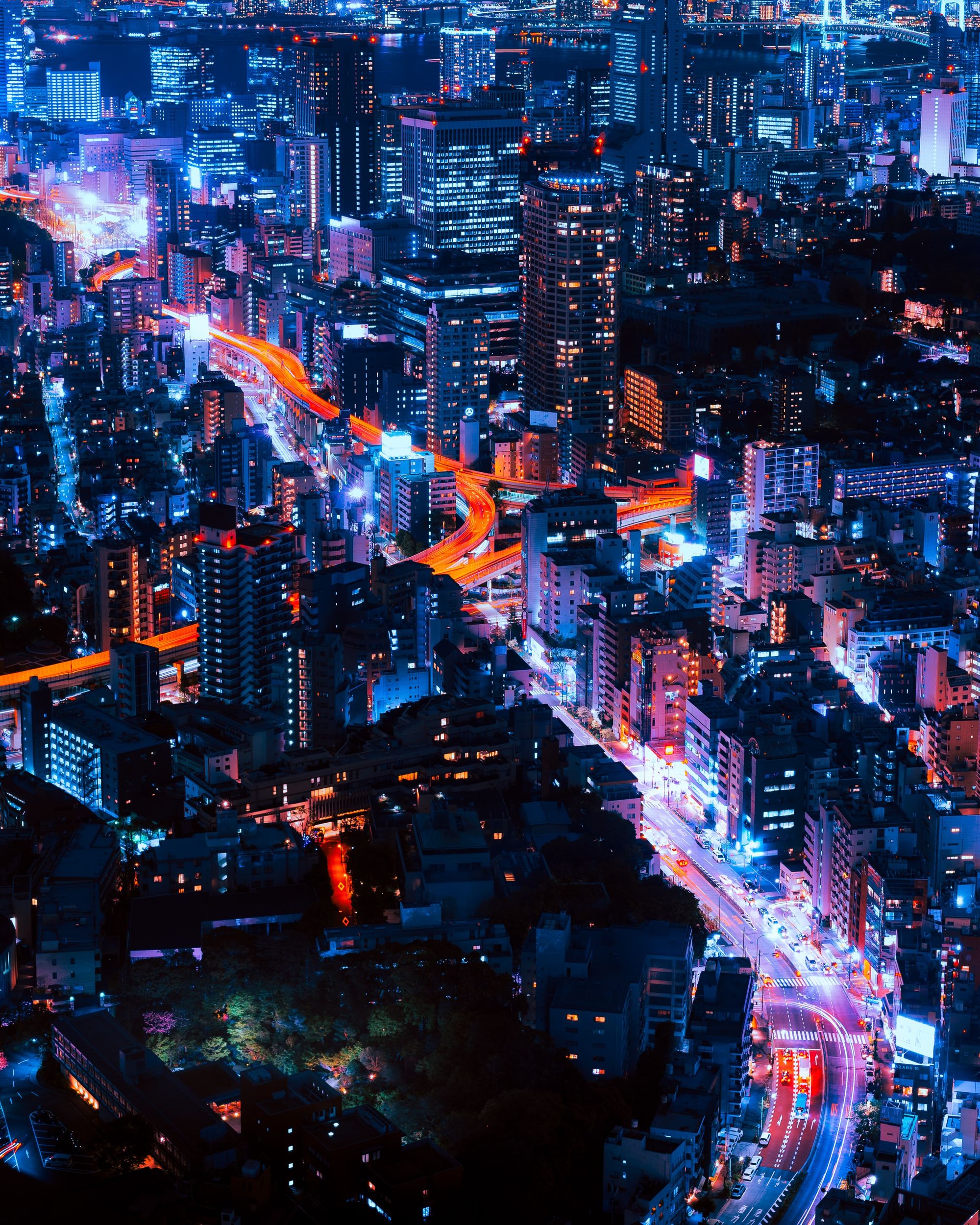 Neon city bird's-eye view at night  